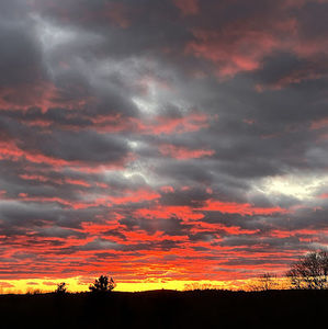 Meet your Posher, Lilly